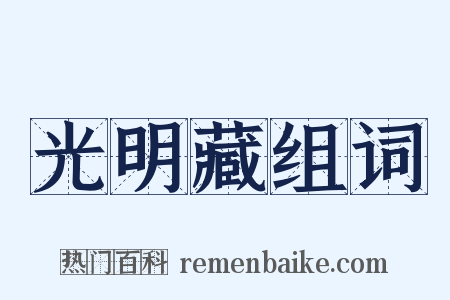 光明藏组词是什么意思的图片